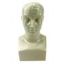 Vintage Boehm Porcelain Advertising Phrenology Head