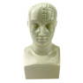 Vintage Boehm Porcelain Advertising Phrenology Head