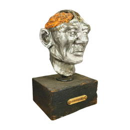 1960's Phrenology Head Clay Sculpture