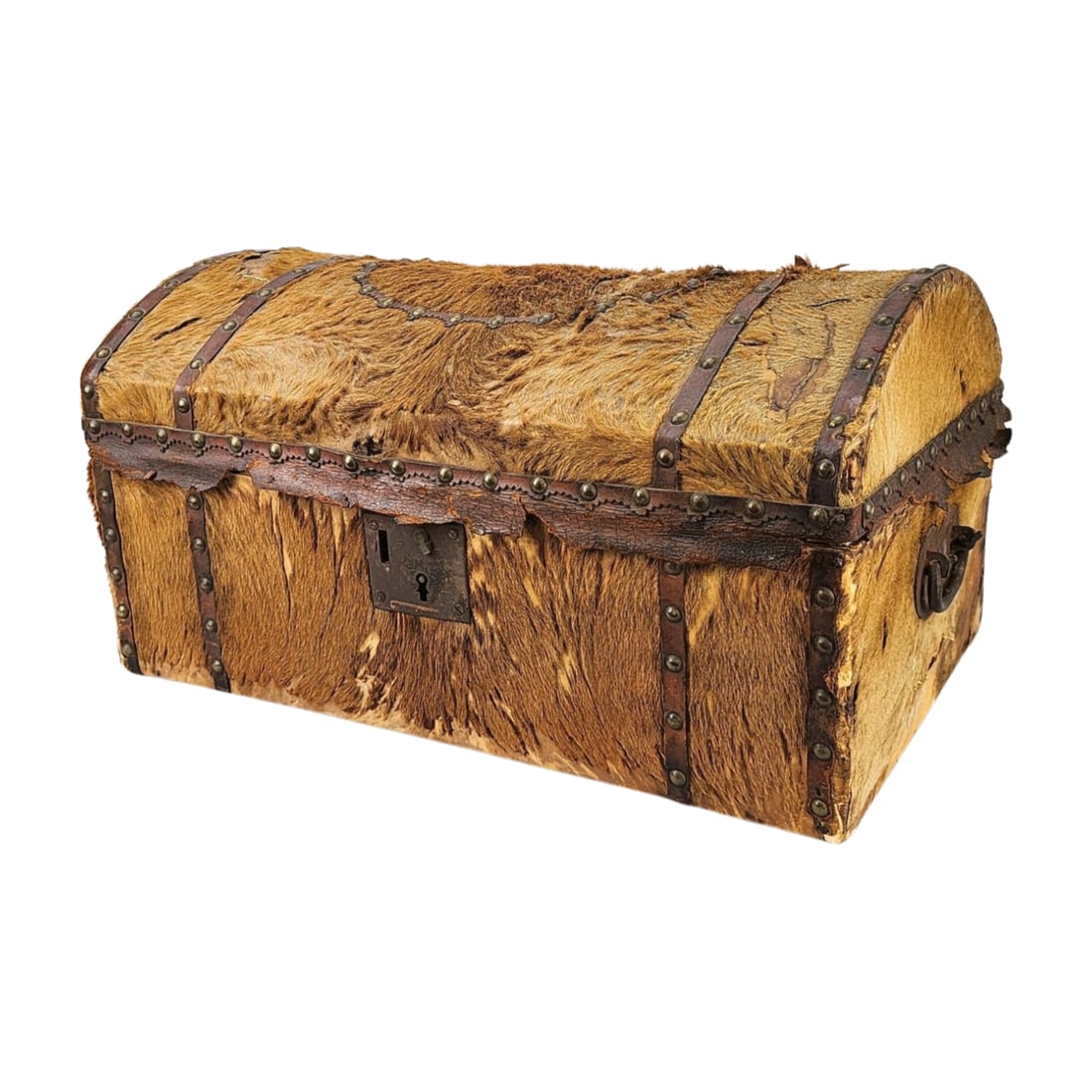 Antique Steer Hide Americana Carriage Trunk 19th Century (1 of 9)