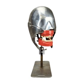 Mid-Century Dental Phantom Head