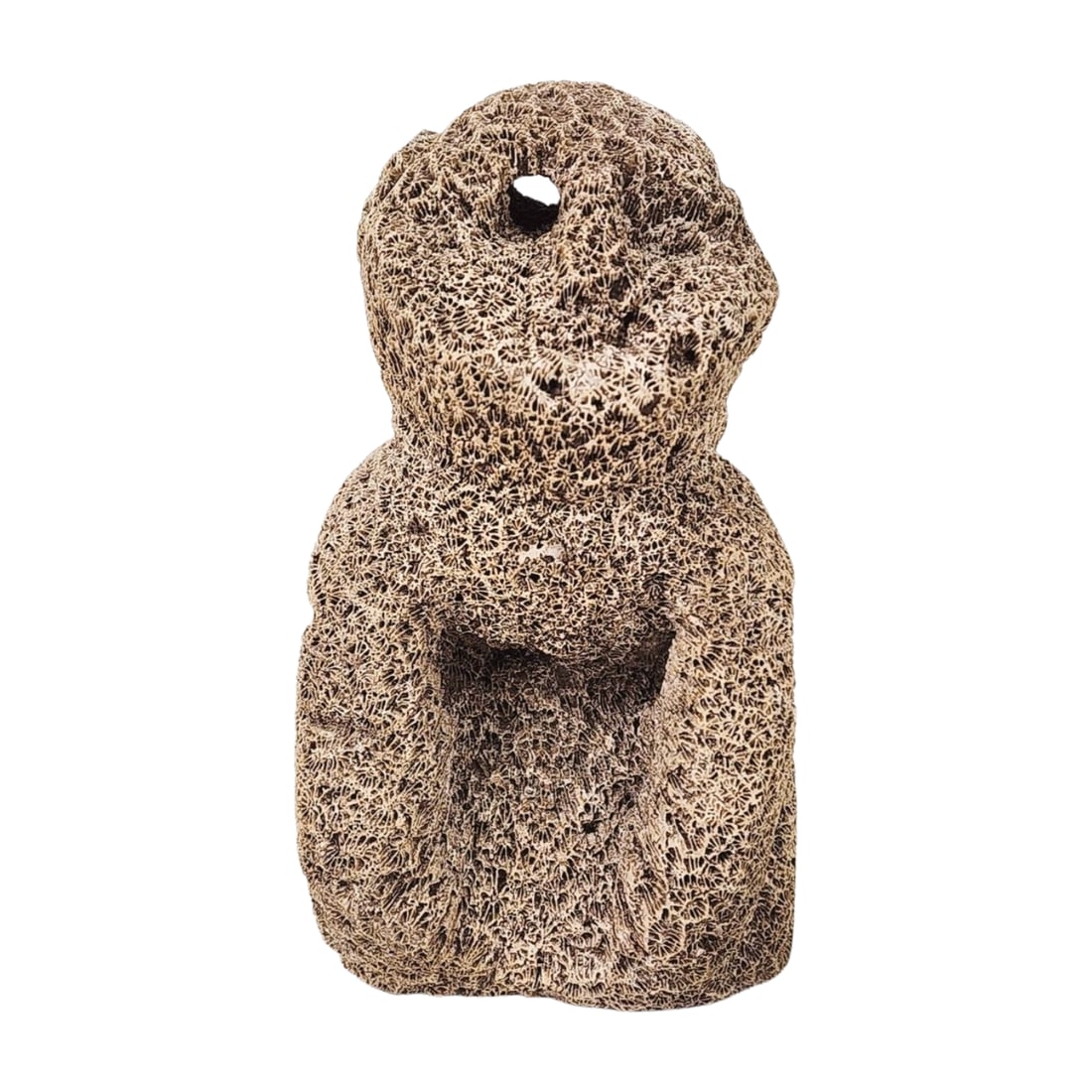 Fossilized Coral West Timor Figure Sculpture: West Timor Indonesia East Nusa Tenggara Province fossilized coral figural sculpture. Measures 5 1/2" x 3" x 2".