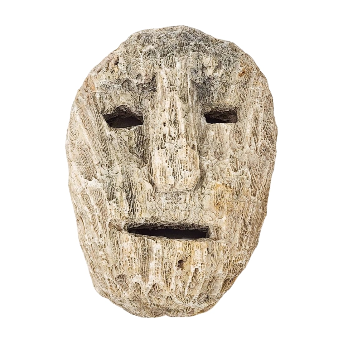 Fossilized Brain Coral Tribal Art Mask Sculpture (1 of 4)