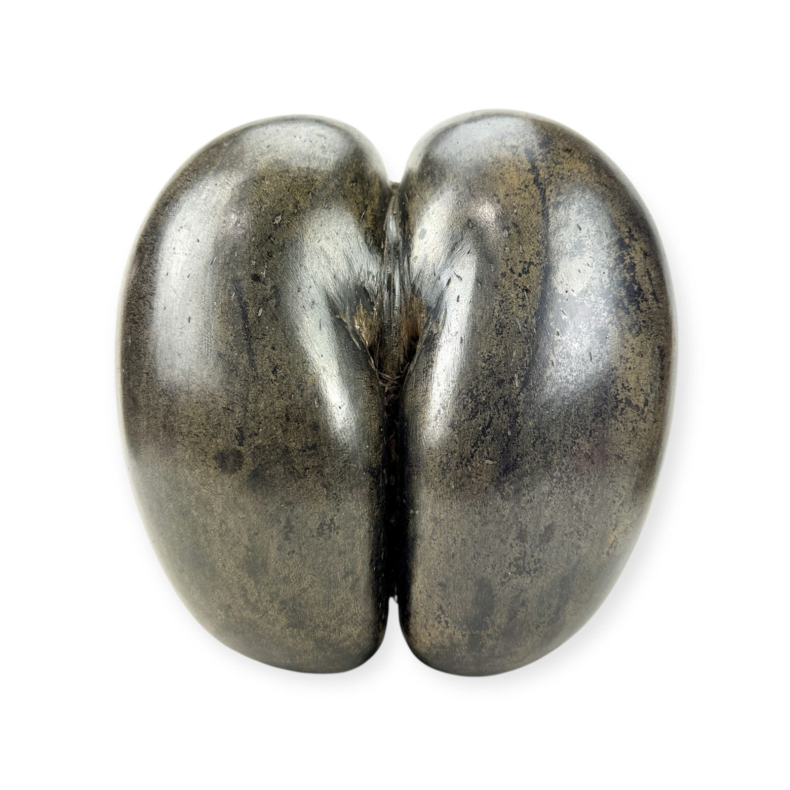 Large Coco De Mer Seed Pod (fertility nut) Seychelles: Vintage Coco De Mer erotic nut/seed pod from the Seychelles. 12"t x 12"w x 6'd.