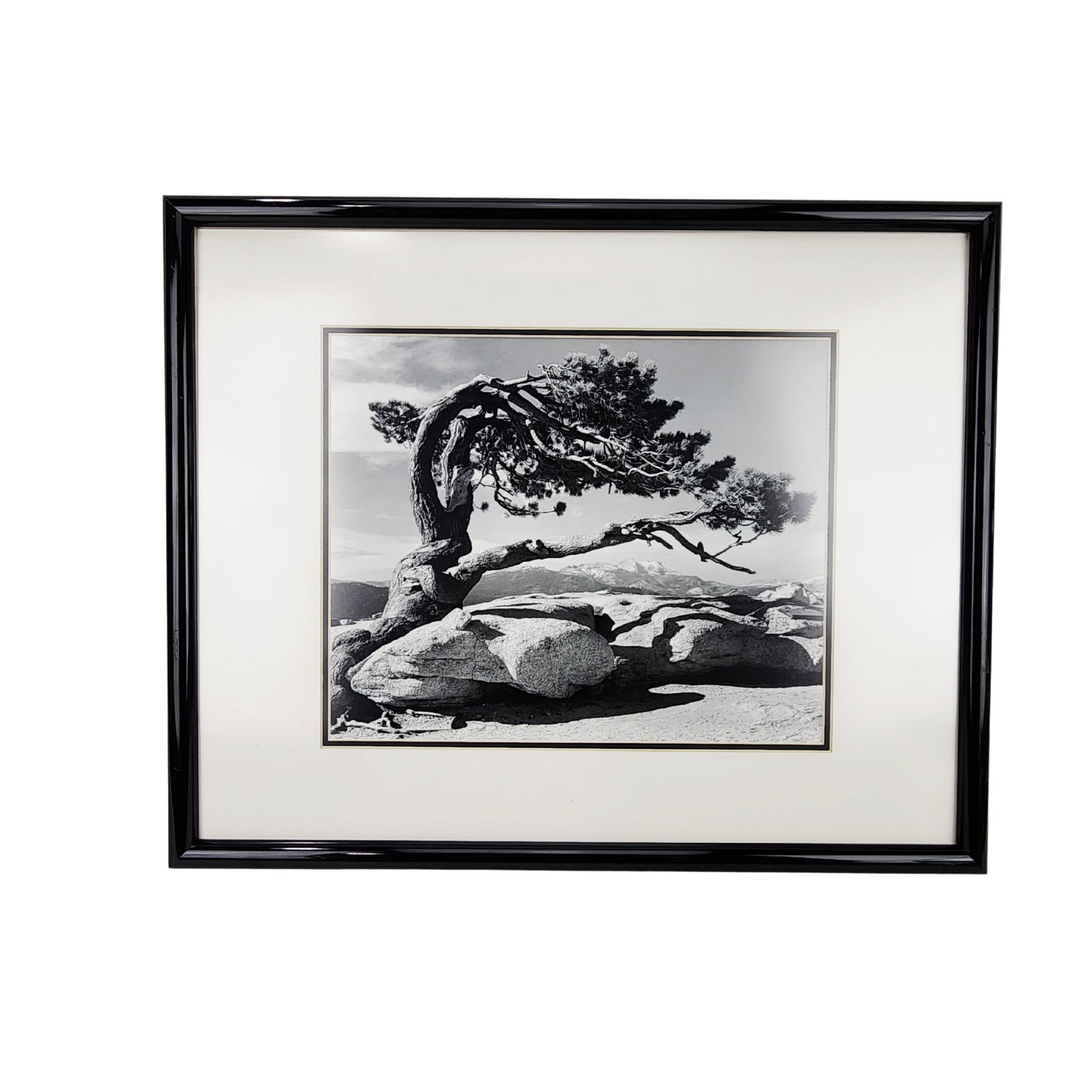 Ansel Adams, Jeffery Pine, Sentinel Dome Photographic Print (1 of 5)