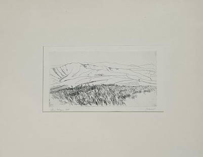 Renzo Biason - Colline bolognesi, 1965: Renzo Biason - Bologna hills, 1965 Dry point engraving 25x15 cm; signature and year lower right, title and edition 9/10 lower left.