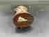 item-108048700=3