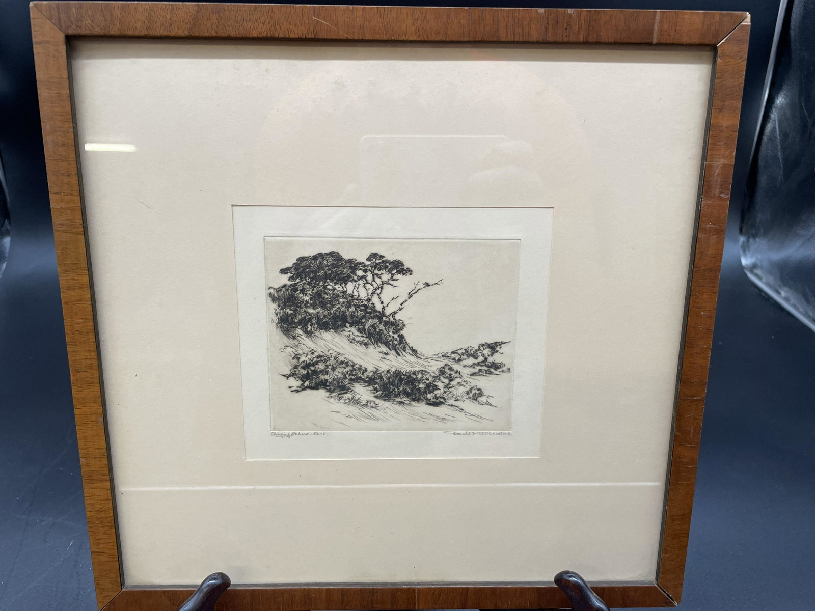 Signed and Titled Pencil Sketch: SLR and titled but illegible. Frame 13"x12".
