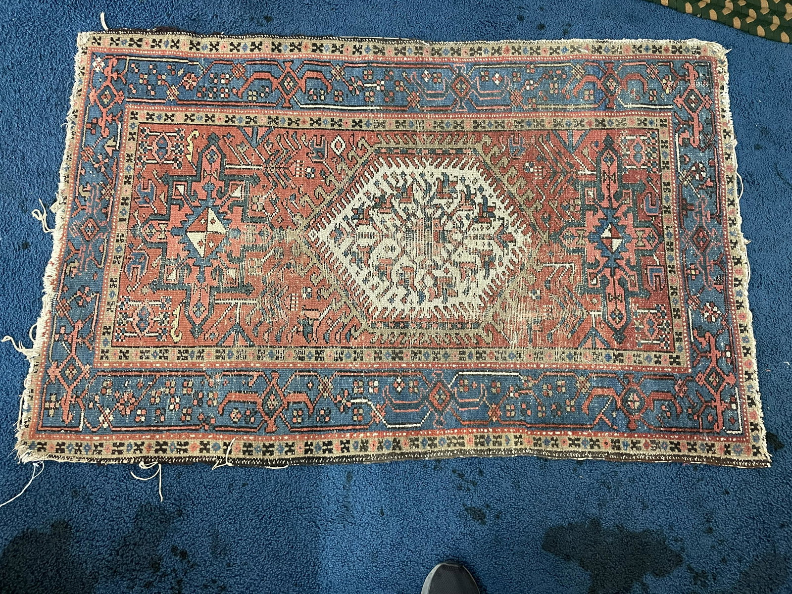 Oriental Area Rug: 57"x36".