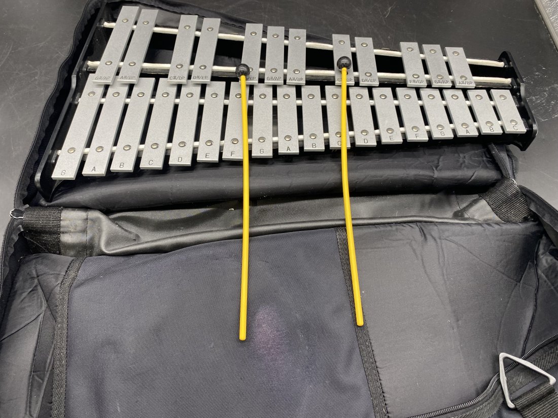 Pearl Xylophone with Case (1 of 4)