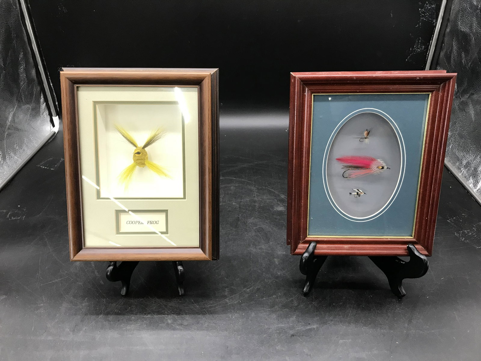 Two Framed Flies (1 of 4)