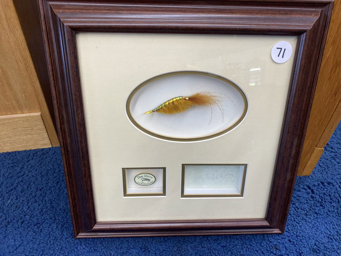 Framed Fly By Davy Wotton (1 of 3)