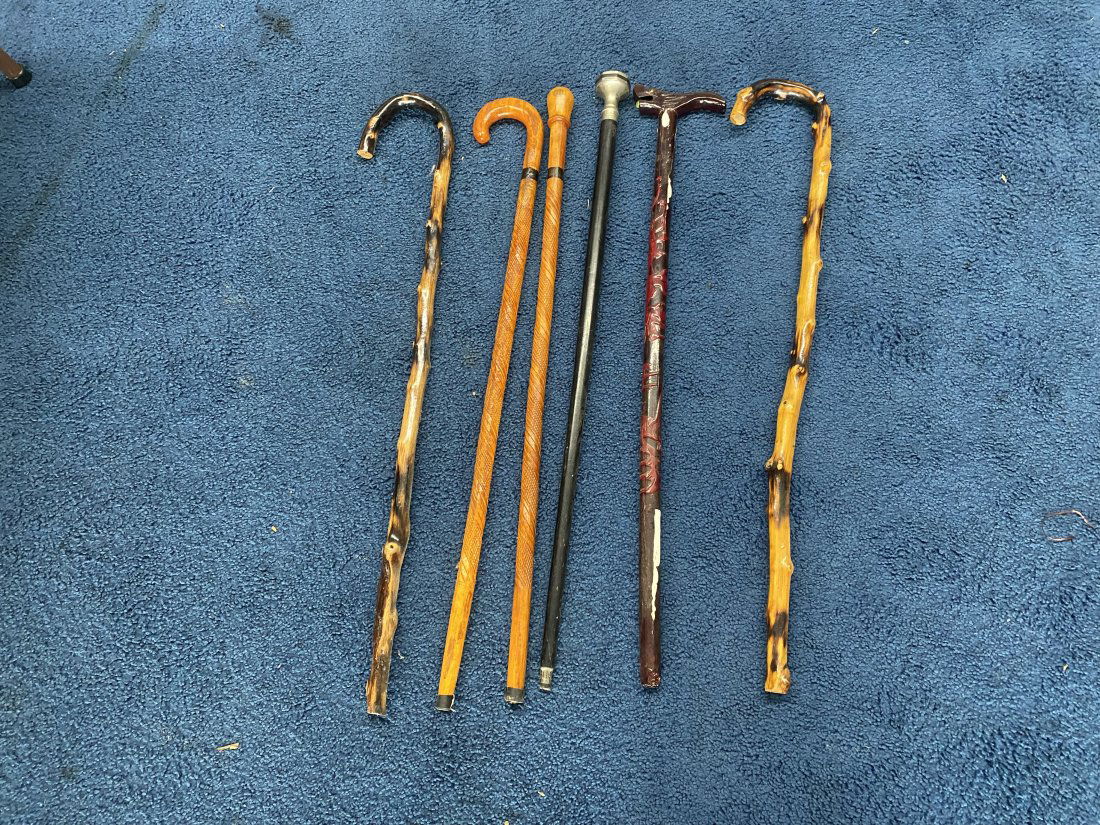Grouping of Walking Sticks (1 of 5)