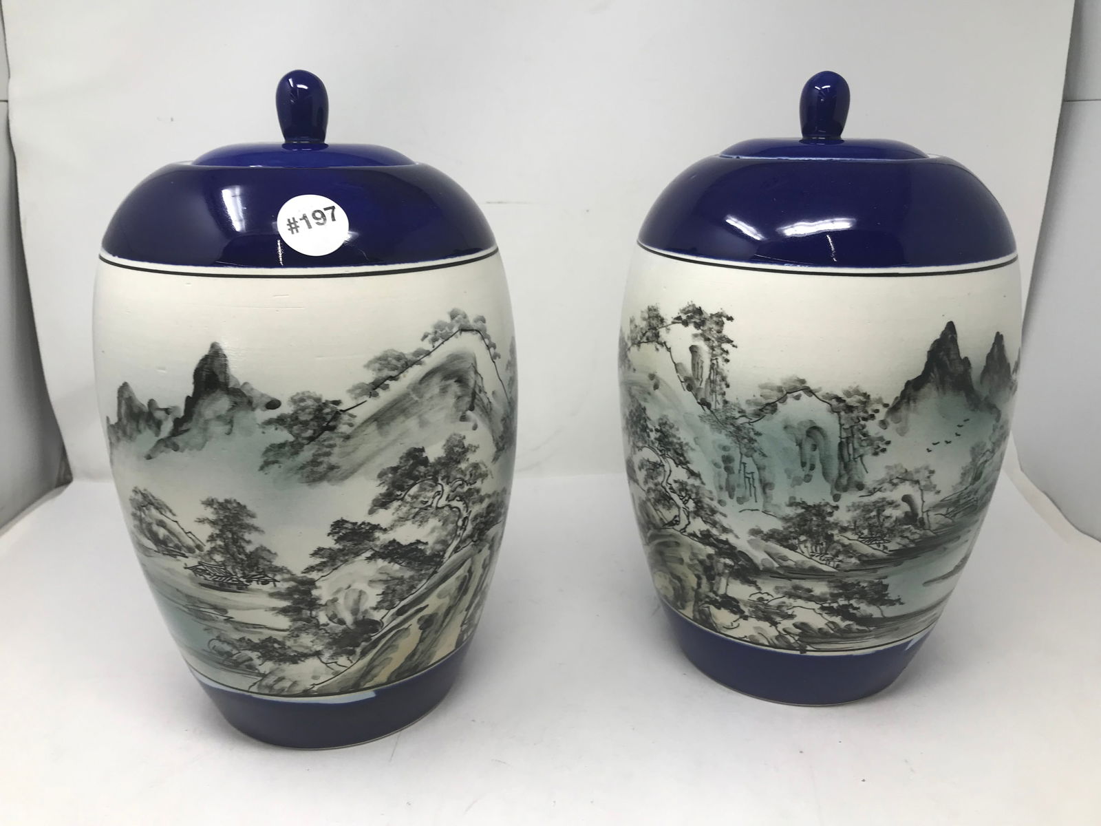 Pair of Asian Ginger Jars (1 of 4)