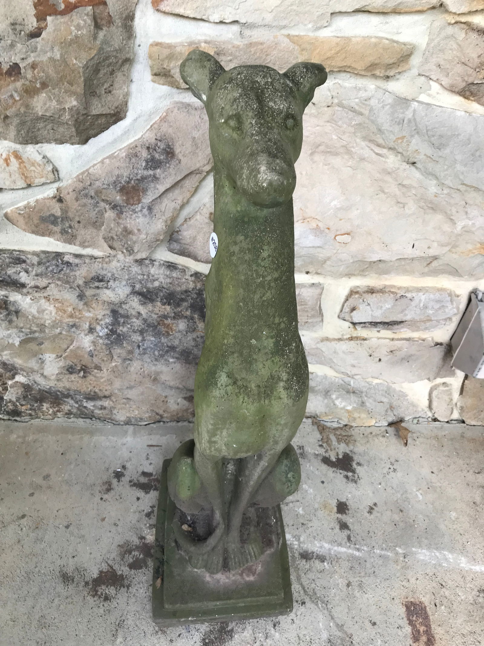 Concrete Greyhound Statue: 31" x 12"x 9".