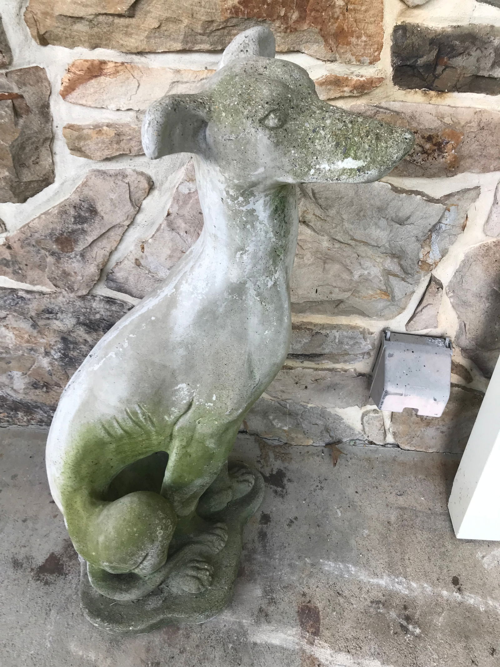 Concrete Greyhound Statue: 36" x 14" x 12".