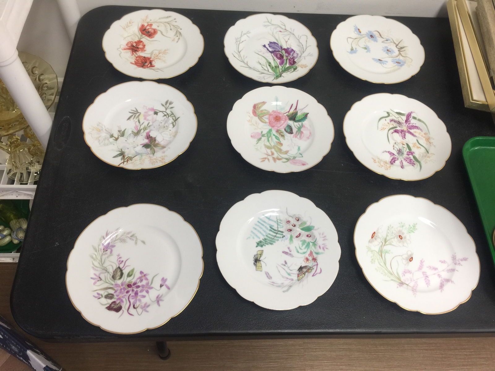 (9) Limgoes Plates (1 of 6)