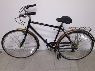 Schwinn Wayfarer Bike