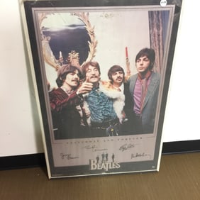 Vintage Beetles Poster