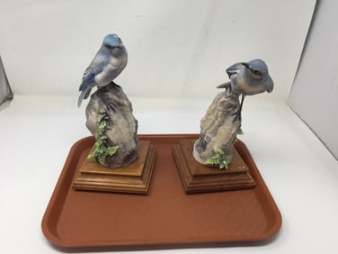 Pair Royal Worcester Mountain Bluebirds