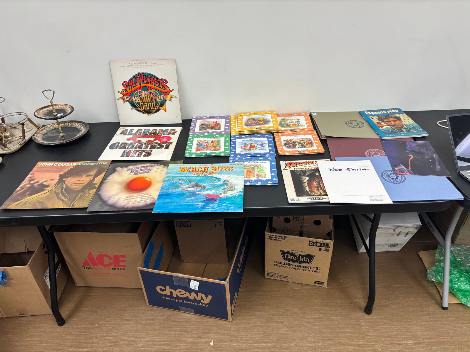 Pop Culture Lot (1 of 5)