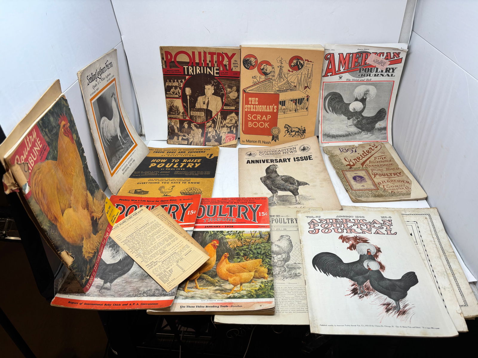 Antique Poultry Magazines (1 of 4)