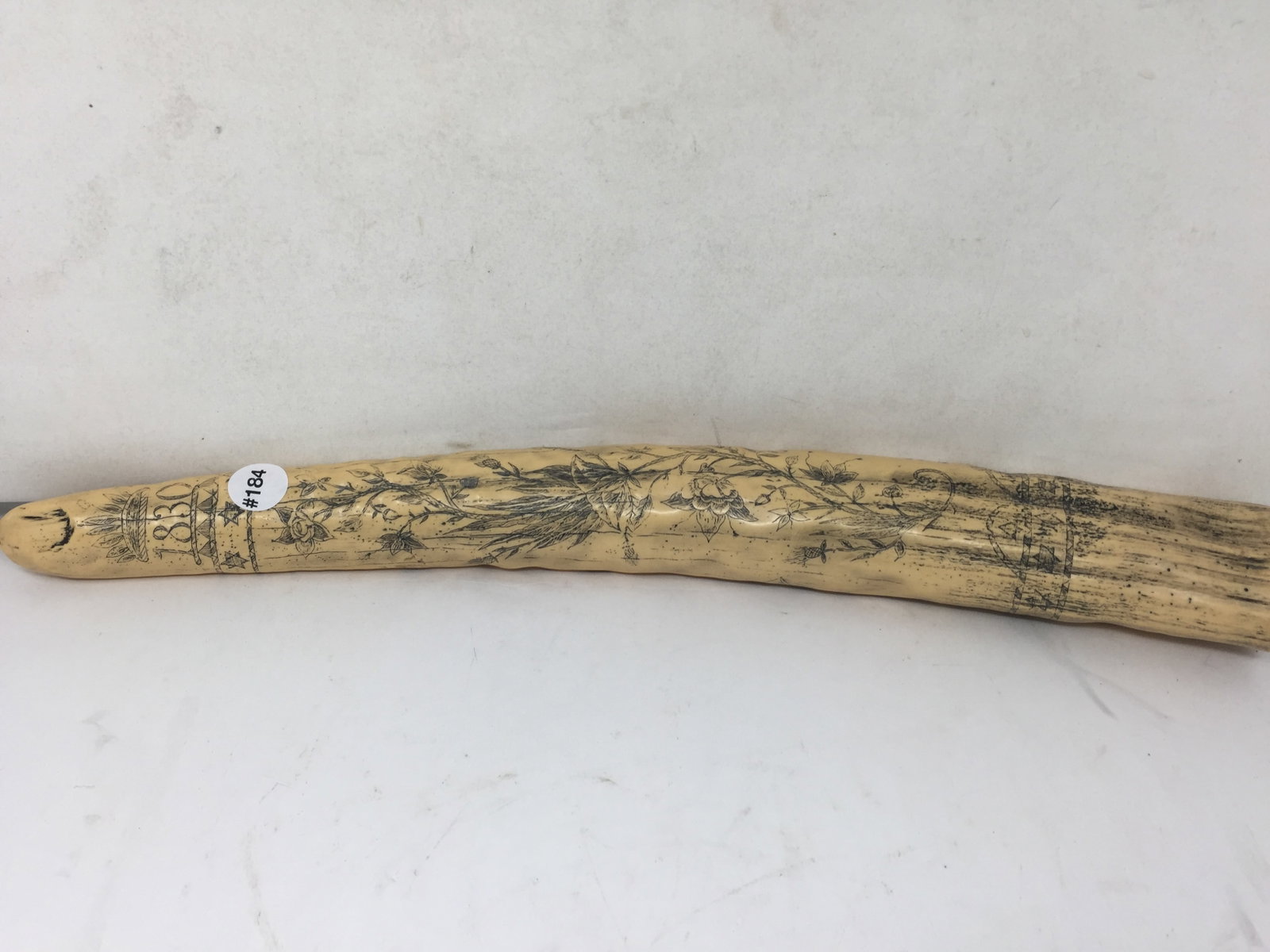 Scrimshaw Type Carving: 21.5"H.
