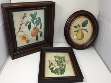 Grouping of Victorian Frames w/Botanicals