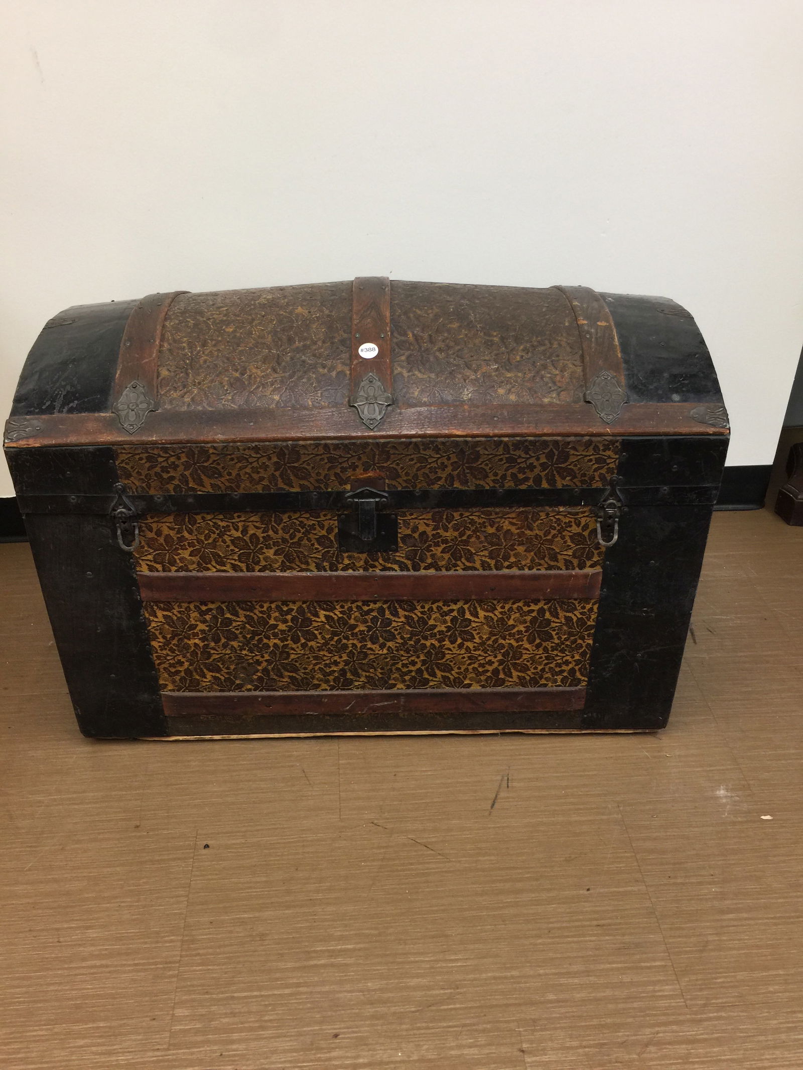 Camelback Trunk (1 of 5)