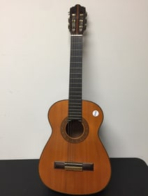 Vintage Rosewood Case Guiter