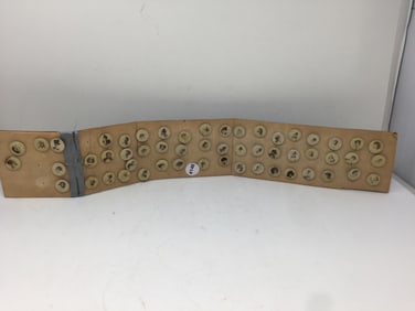 Grouping of Celluloid Pin Backs