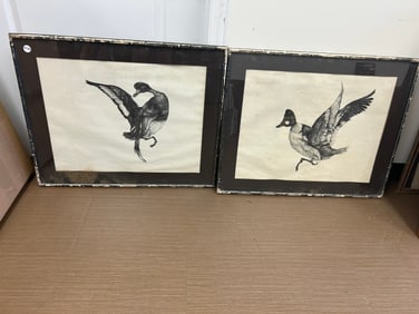 Pair of Duck Drawings