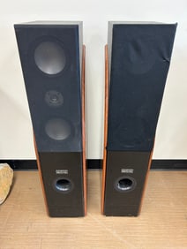 Pair of Skyline Speakers