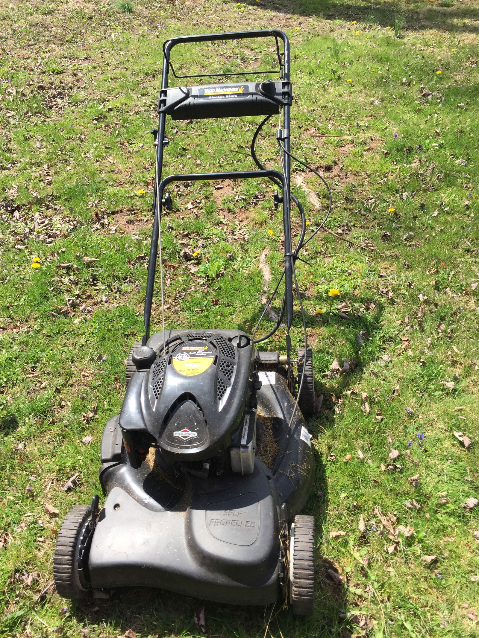 Briggs & Stratton Yard Machine (1 of 4)