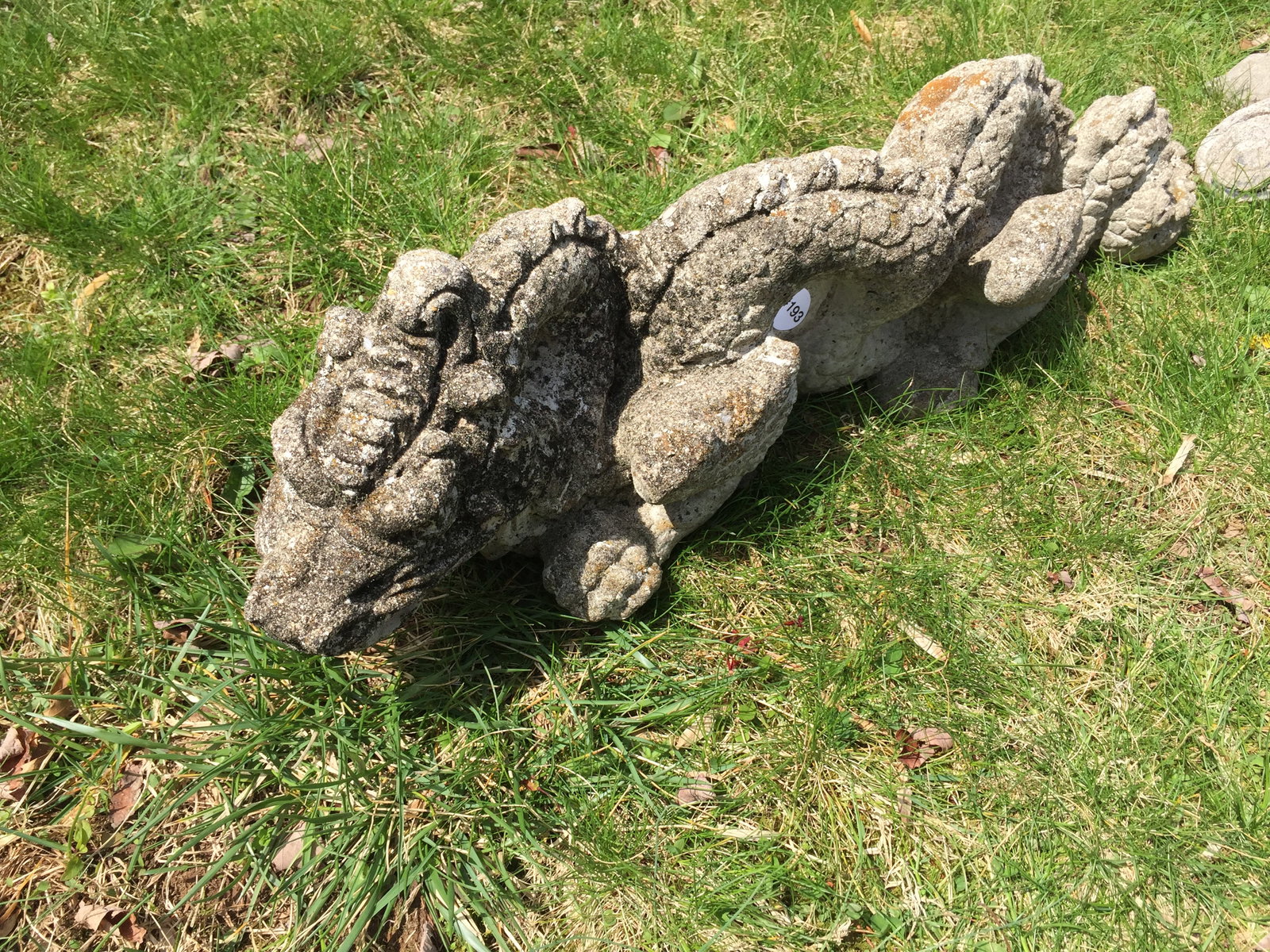 Concrete Dragon: 24" L