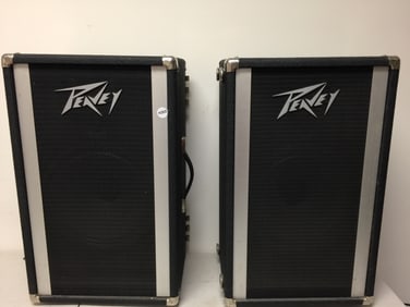 Match Pair of Peavey 112 PT-PA Enclosed Speakers