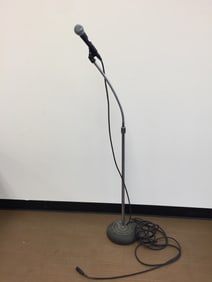 Shure SM58 Microphone on Stand