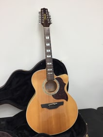 Takamine 12 Sting Electric Acoustic Guitar