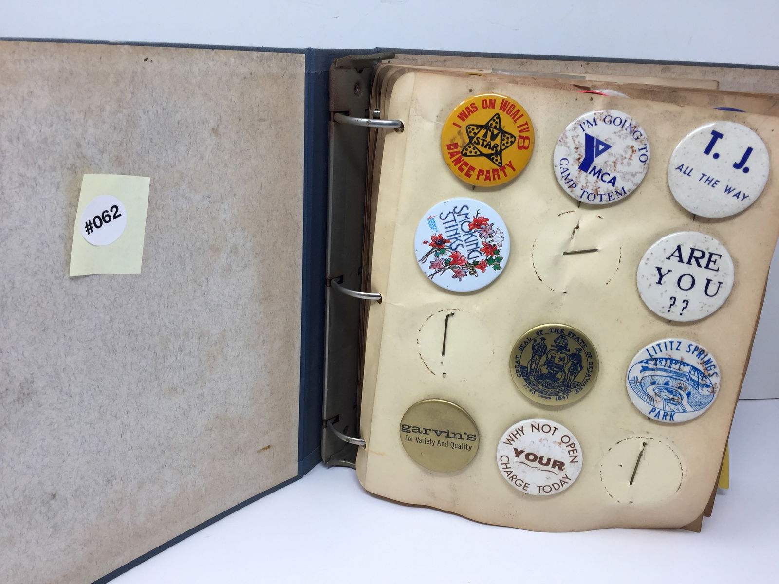 VIntage Scrapbook (1 of 6)