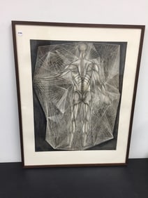 Anatomical Drawing