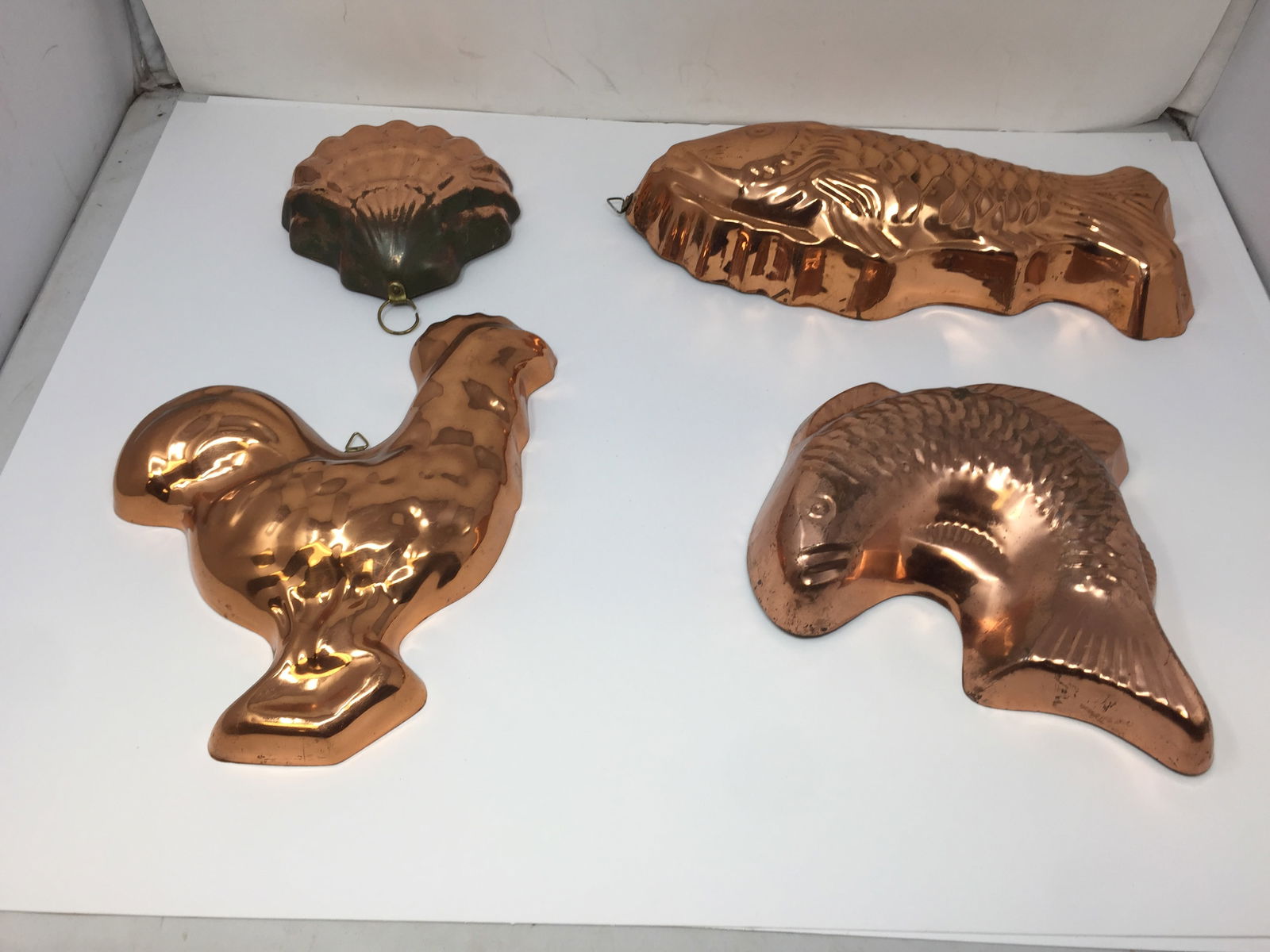 Copper Molds: largest fish is 14", shell is 6", 1 signed by maker