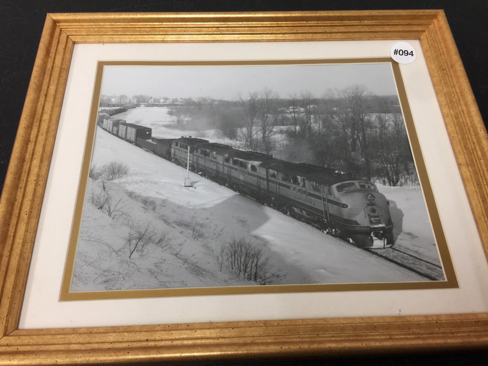 Early Train Photograph: Lacakwana train, frame 16"x13".
