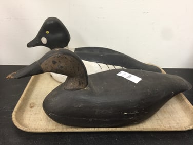 2 Decoys
