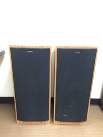 Pair of Fischer Speakers