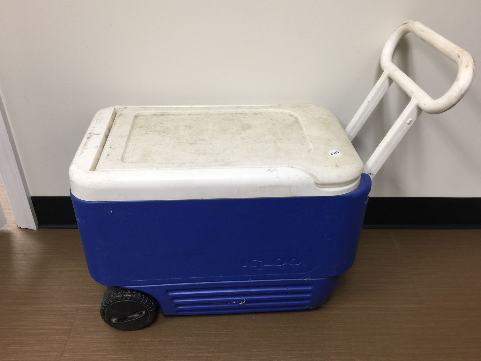 Igloo Cooler (1 of 3)