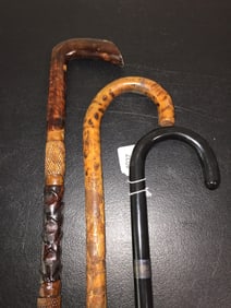 3 Walking Sticks