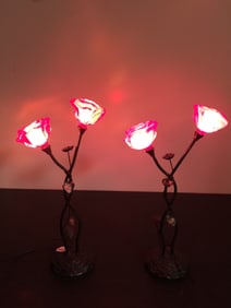 Pair of  Bronze Art Glass Flower Lamps