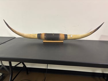 Mounted Longhorn Steer Horns