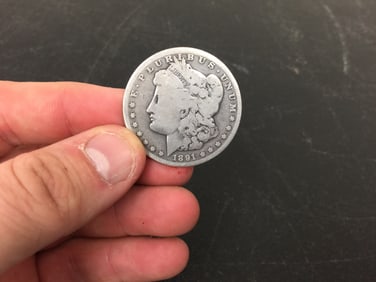 1891 Morgan Silver Dollar