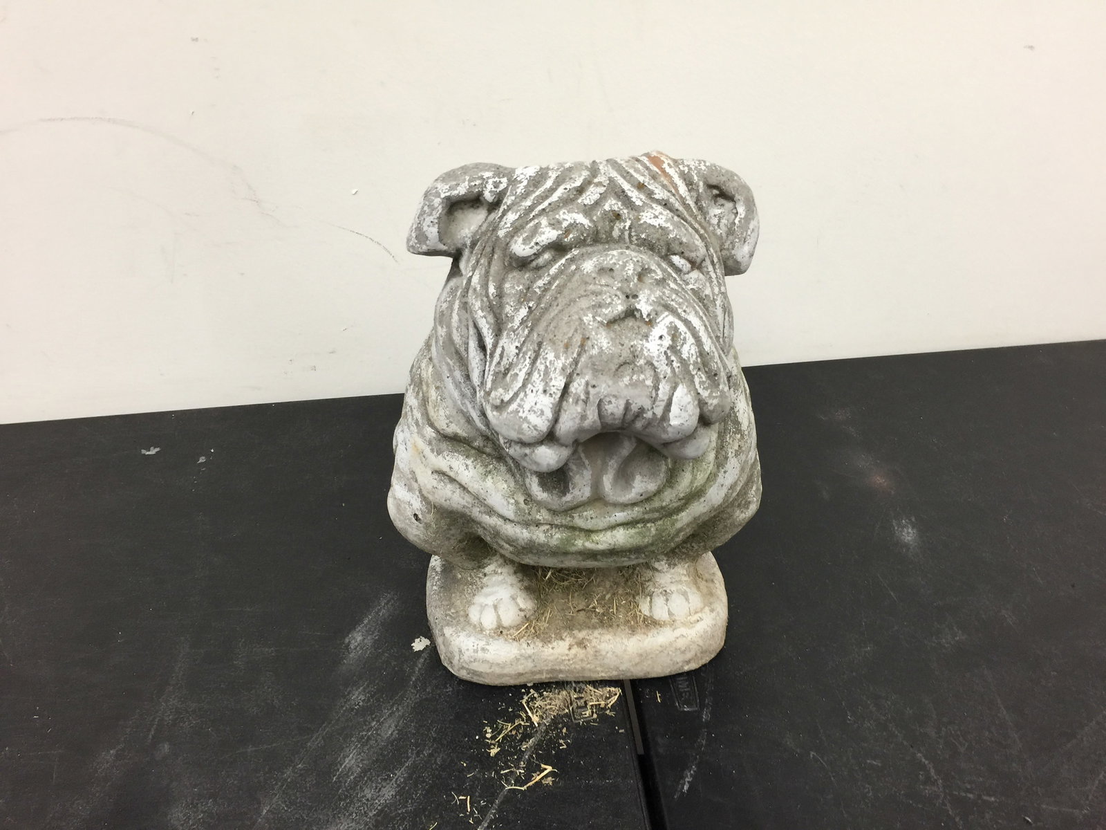 Concrete Bulldog: 14"x16".